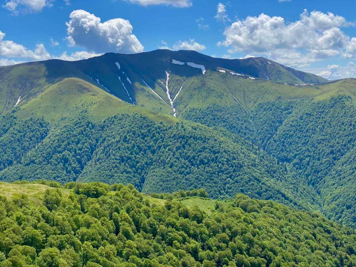 Під Боржавою Volovets Esterno foto