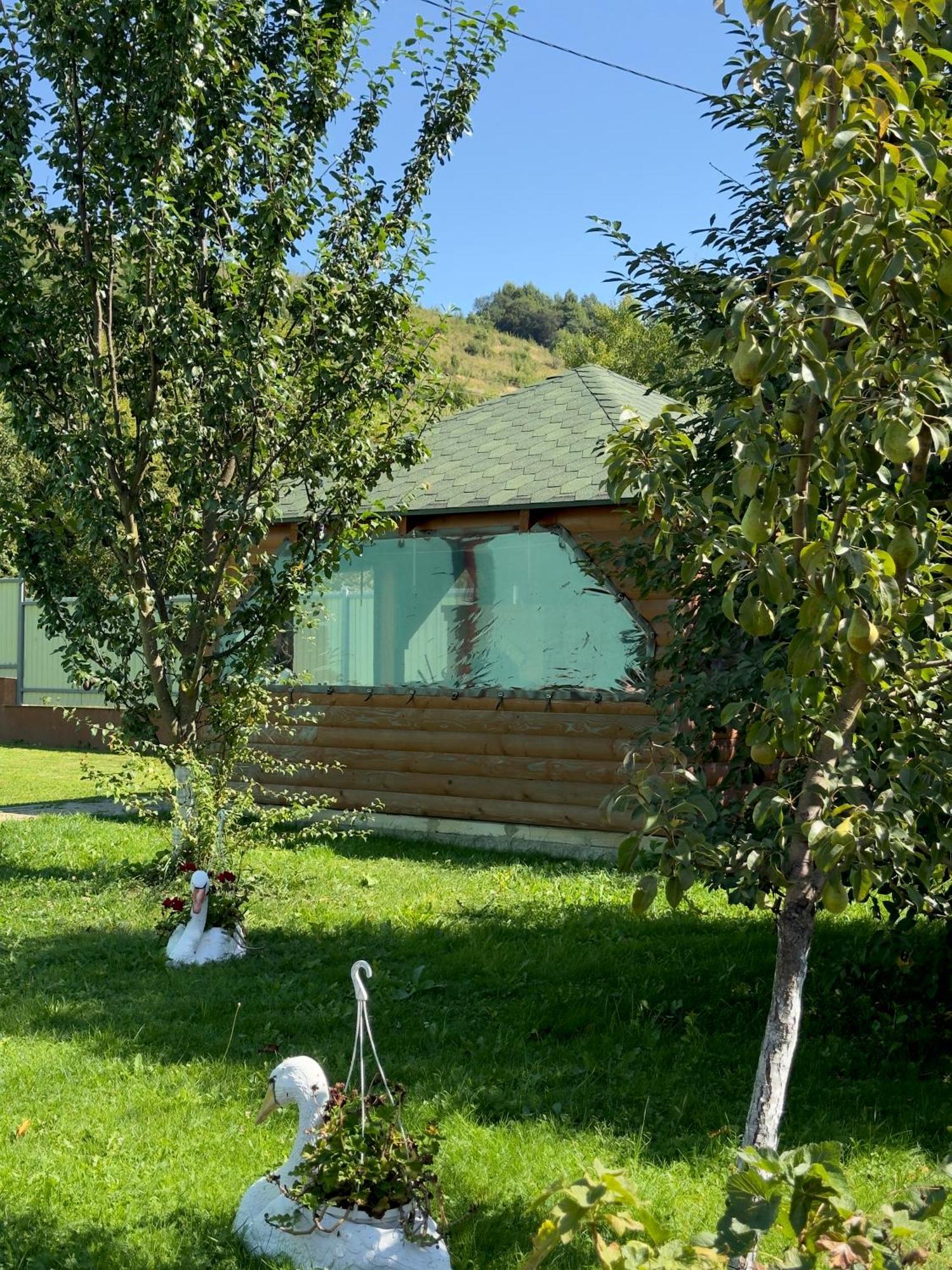 Під Боржавою Volovets Esterno foto